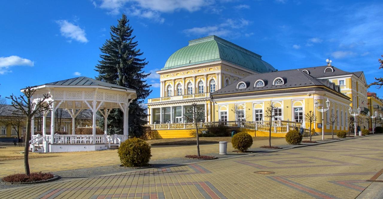 Apartment Pension Stark Františkovy Lázně 外观 照片