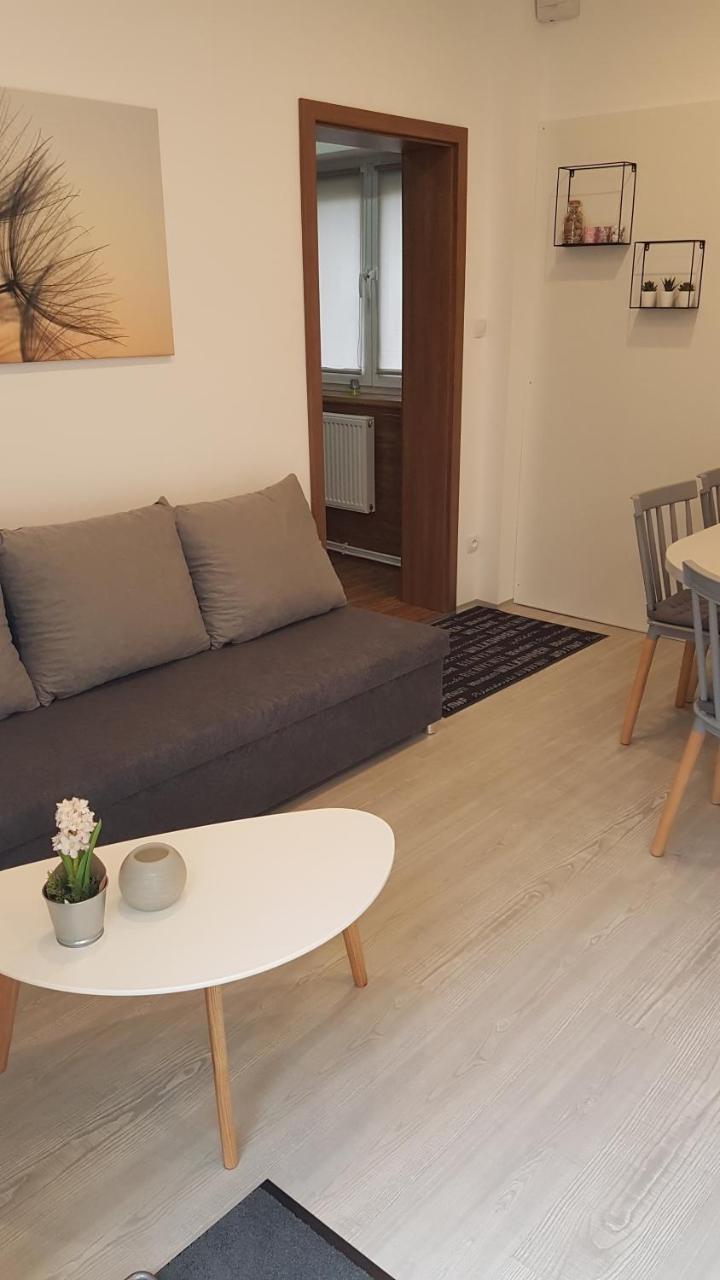 Apartment Pension Stark Františkovy Lázně 外观 照片